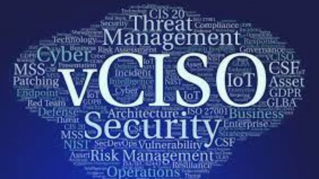 Virtual CISO Services